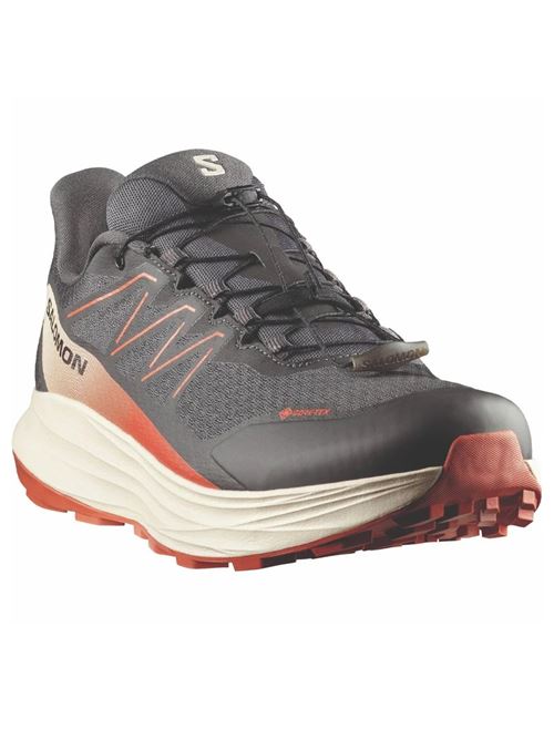 alpha ride 2 gtx SALOMON | L49181600ASPH ARAB SPICE